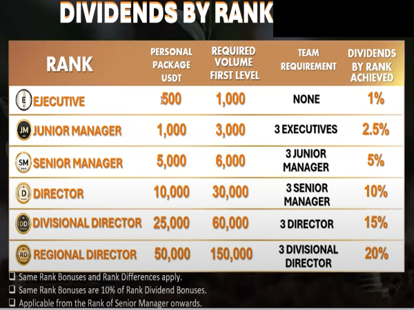 Trage Technologies Ltd. daily divdends by rank explained.